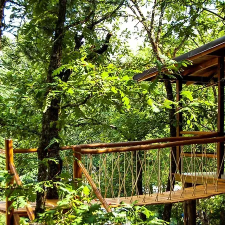 Agramada アルネア